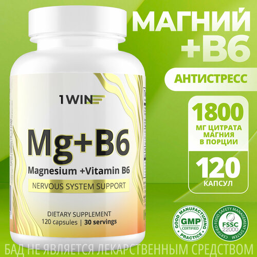  1WIN     6 ( 6),       , Magnesium Citrate, 120 ,   501 