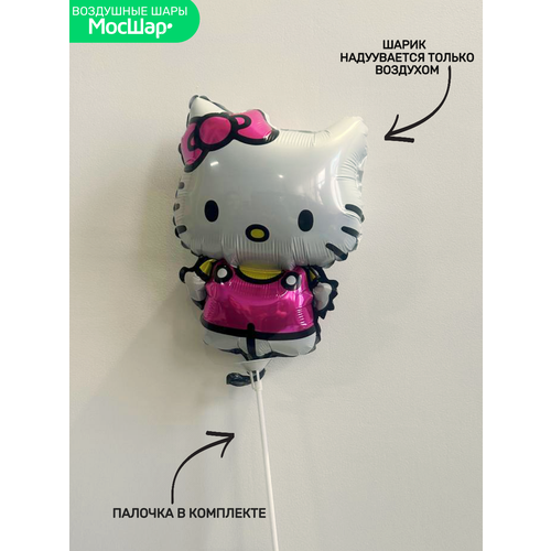 ���� ��� �� ������� ���� ������ ������� ����� Hello Kitty, ������ �� 293 ���