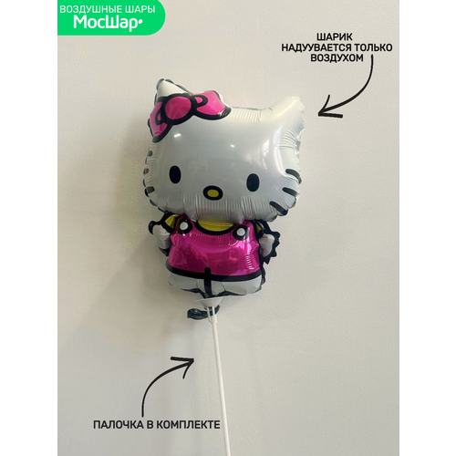         Hello Kitty   -     , -, 