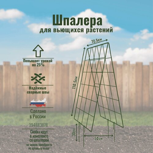 ���� ������� ��� ������� �����, ������ �� 3056 ���