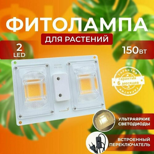 ���� ��������� ��� ����������� �������� ������� ������ ������ �������������� ������������, ����� ��������� ��� ������ � ��������, ������ �� 1650 ���