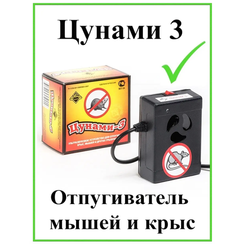 ���� ������������ ����� �������������� ������ 3, ������ �� 1890 ���