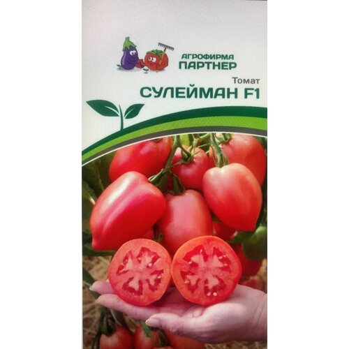 ���� ������ ������ ��������������� ������������ 