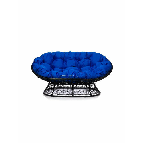 ���� ����� 