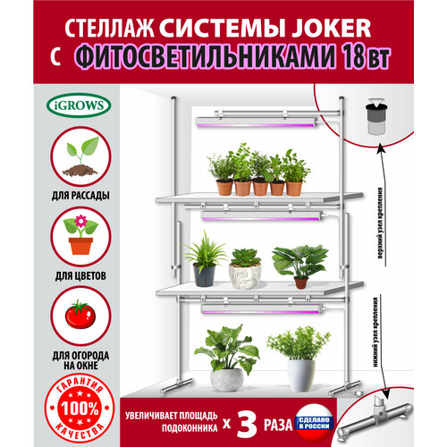 ���� ������� ��� ������� � �������� �������, ��������� , ��������� , � ��������� � ����������������� 3 �� �� 18 �� ��� ���� � ����, ������ �� 6250 ���