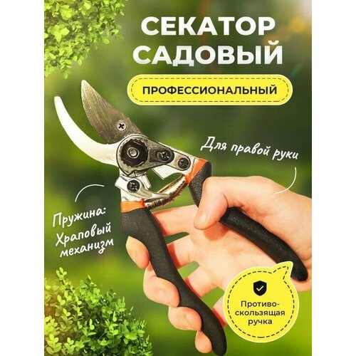 ���� ������� ������� �������� ������������� ���������������� ��� ���� ������� � ����, ������ �� 584 ���