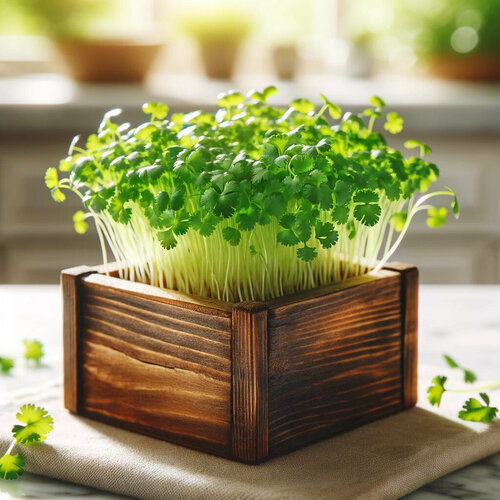 ���� ����� ������ ����������� ������, ������ �� 368 ���