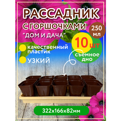 ���� ��������� �� 10 ����������� (���������) � ��������, �������, ������ �� 452 ���