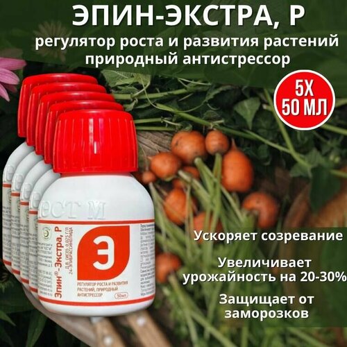 ���� ����-������ ��������� ����� � �������� ��������, ��������� ������������ 50 ��, 5 ��, ������ �� 3442 ���