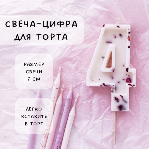 ���� ����� ��� ����� ����� 4, ������ ������, 1��, ������ �� 555 ���