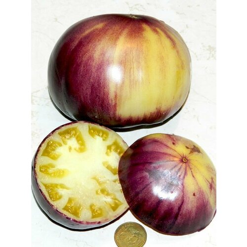 ���� ������������� ������ ������ ���� ������, ������ �� 102 ���