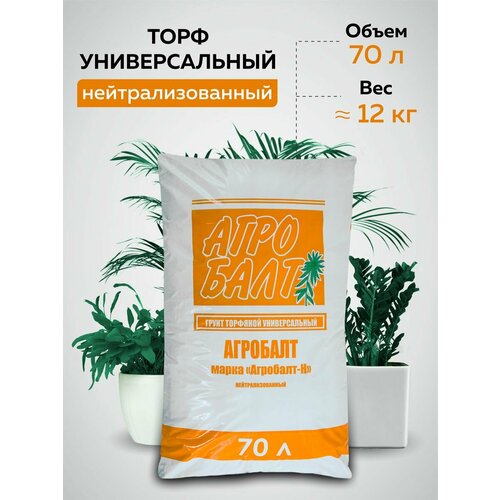 ���� ���� 