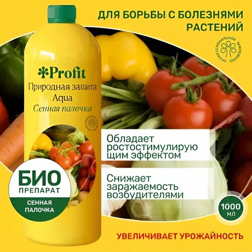 ���� ��������� ��������� ������ Aqua ������ ������� 1�, ������ �� 1337 ���