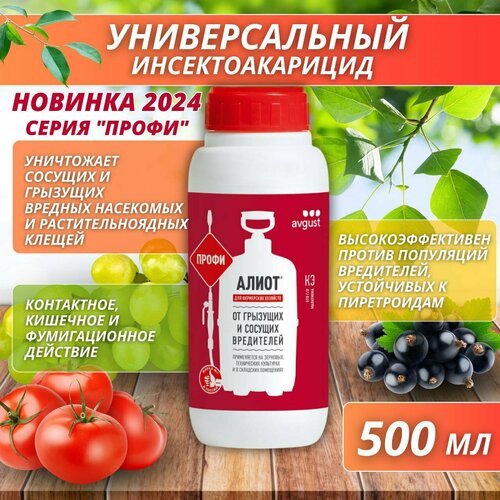 ���� ����� ����� ������������� ���������� �� �������� � ������� ���������� 500 ��, ������ �� 1900 ���