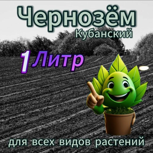 ���� �������� ����� 1 ����, ������ �� 920 ���