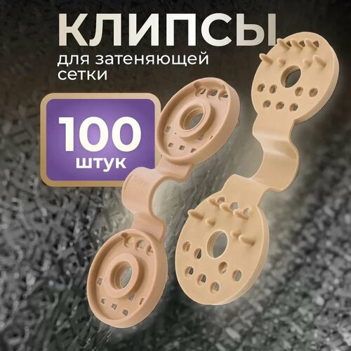 ���� ������ ��� ����� 