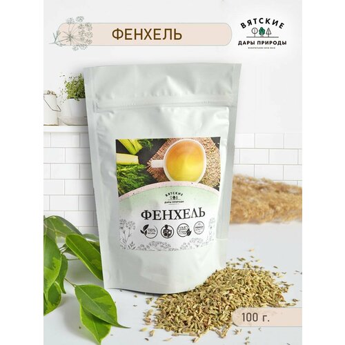 ���� ����� ������� 100 ��, ������ �� 262 ���