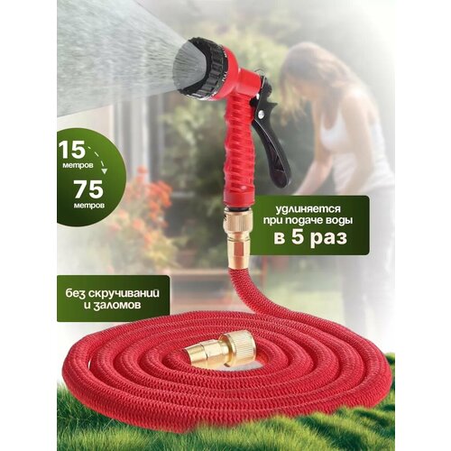 ���� ����� ������� ���������� ��������������� 75������, � ��������� � ������������, ������ �� 2799 ���