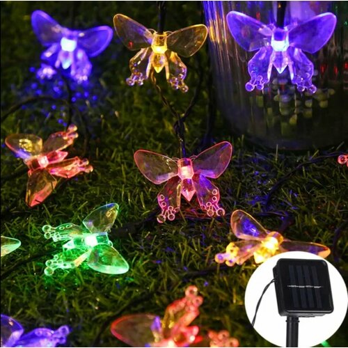 ���� ������������ �������� � ����� ������� ������������ �� ��������� ������� 30 ���� 6 ������, ������ �� 790 ���