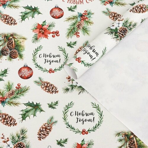 ���� ������ ����������� ���������� 