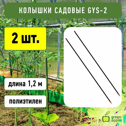    GREEN APPLE GYS-2  ,   1.2 ,  2    -     , -, 