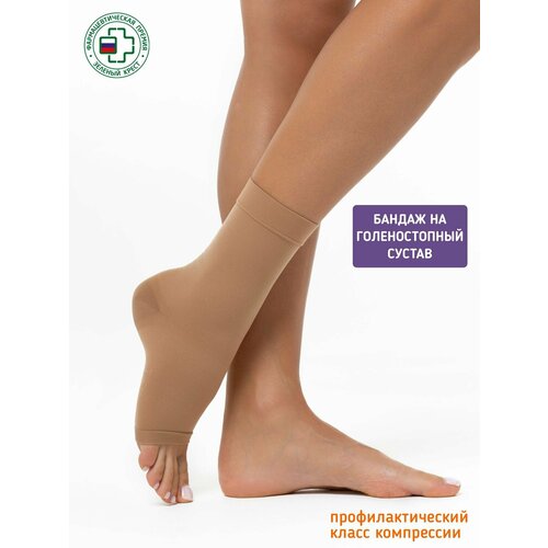 ���� ������ ������ �� ���������� ���������������� ������� �. L, ������ �� 350 ���