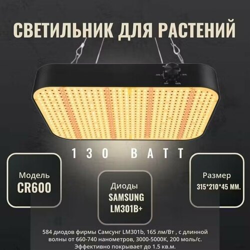     CR600 130W    Samsung LM301B+   -     , -, 