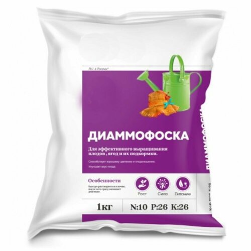 ���� ����������� 1��, ����� �������, �������� ��������� ��� ��������� ���������, �������, ��������, ������, ��������, �������� �������., ������ �� 295 ���