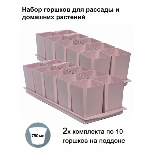 ���� ������ ��� ������� � ������, �������� �� 20 ������� � 2 ����� ��������, ������� ����, ������ �� 1479 ���