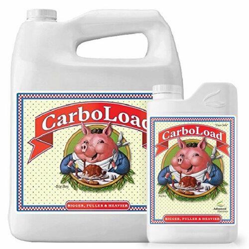  CarboLoad Liquid   -     , -, 