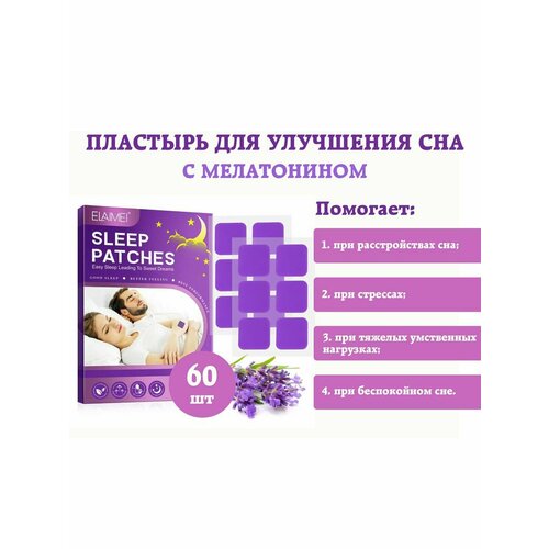 ���� �������� ��� ��� �� ����������, ���������, ������, �������, ������ �� 1501 ���