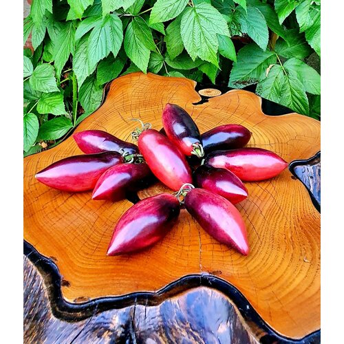 ���� ������ ����� ������ ������ (Slivka Gurman) / Seeds And Goods / � �������� zip-lock ��� ���������� 10 �����, ������ �� 329 ���