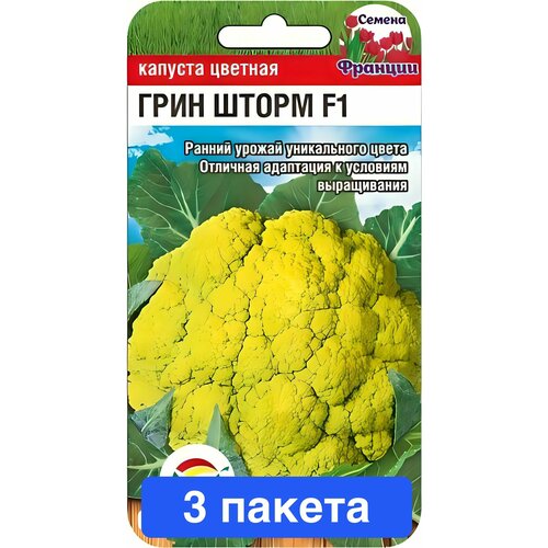 ���� ������ ������ ��������� ��� 