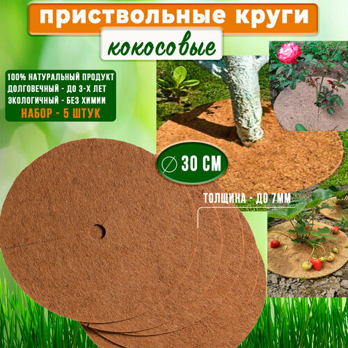 ���� ��������� ������, ������������ ���� 30 ��, ����� 5 ��. �������� ����������, ������ �� 812 ���