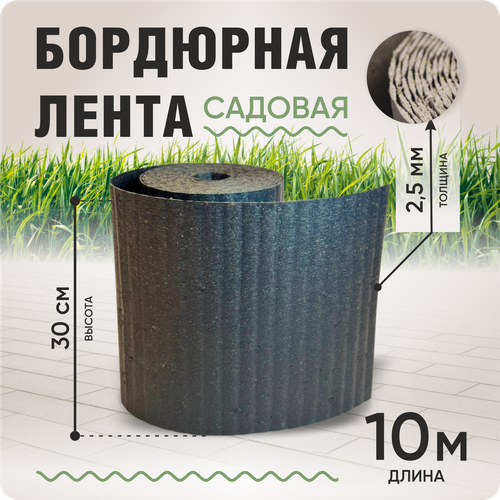 ���� ��������� ����� ������� 30 ��, ����� ������ 10 �, ������� 2-2,5 ��, ����� ������, ������ �� 982 ���