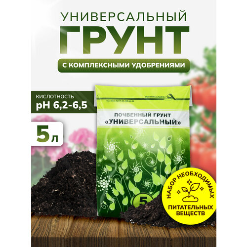 ���� ����� �������������, ����� ��� ������ � �������� 5 ������, ����������, ������ �� 425 ���