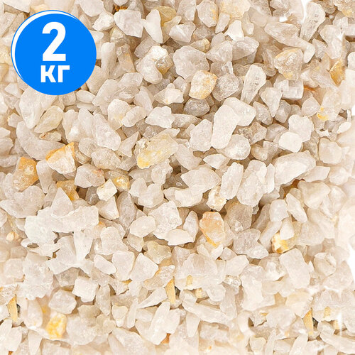 ���� ����������� ����� ��� ��������, ����������� � ��������, Zoo One, ��������� ��������, 