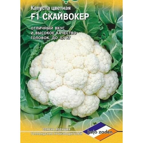 ���� ������ ������� ������� F1 ��������� 10 ��., ������ �� 132 ���