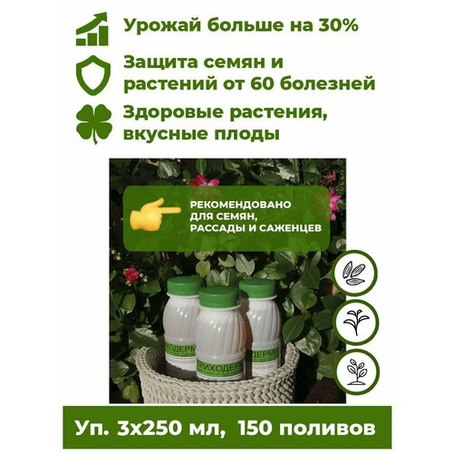    -   3 .  250      .     60 ,    30%.,   613 