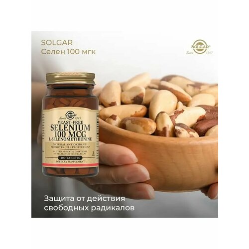 ���� ������, �����, 100 ���, 100 ��������, ������ �� 1890 ���