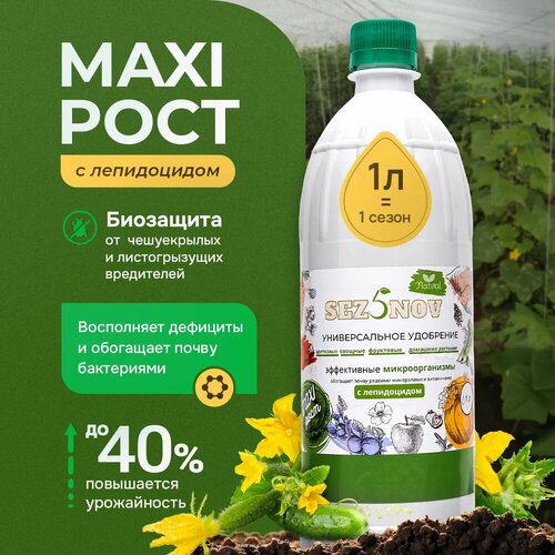 ���� ��������� ��� ���� ������ ������������ ������� MAXI ���� 1� ������������� ��� ������� ������ ������ ����������� ��������� ������� ������� ������ ������� �������� ������, ����� �����, ������ �� 890 ���