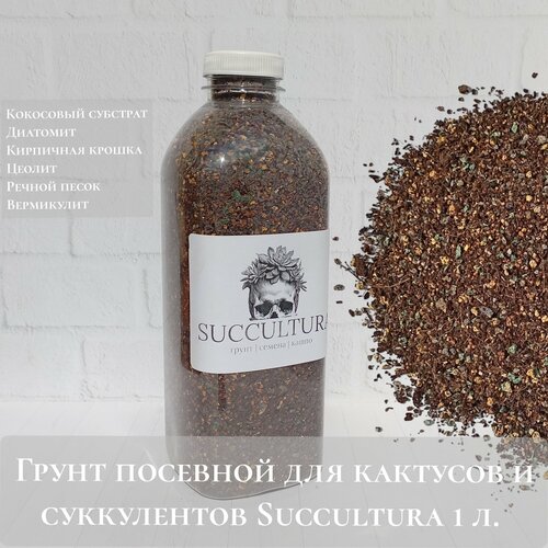 ���� ����� �������� ��� �������� � ����������� Succultura 1 �., ������ �� 350 ���