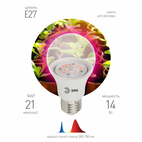    FITO-14W-RB-E27-K    -  1310 14,   1500 