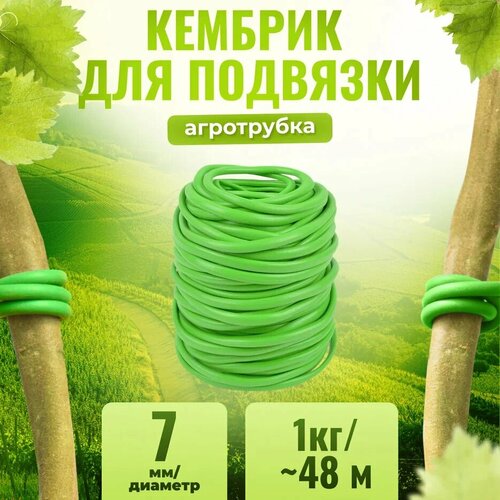 ���� ������� - ���������� ��� ��� �������� ��������� � ������ �������� ������� 7 �� � ����� +- 1�� - 48 �����, ������ �� 1229 ���