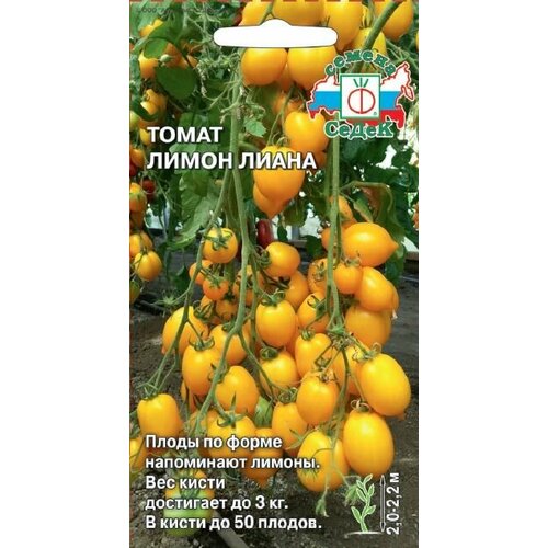 ���� ����� ����� ����� (3 ��������), ������, ������ �� 339 ���