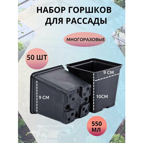 ���� ������ ��� ������� ����� - 50 ����, ������ �� 799 ���