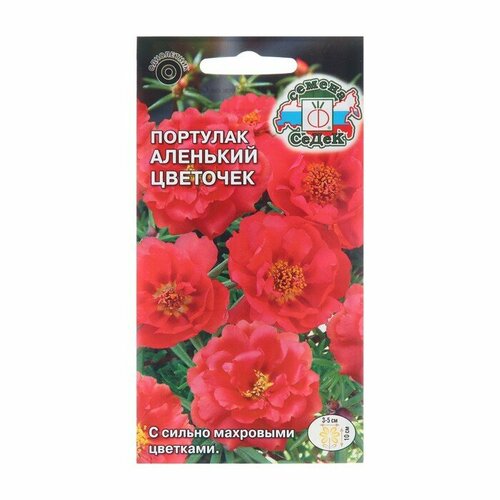 ���� ������ ������ �������� 