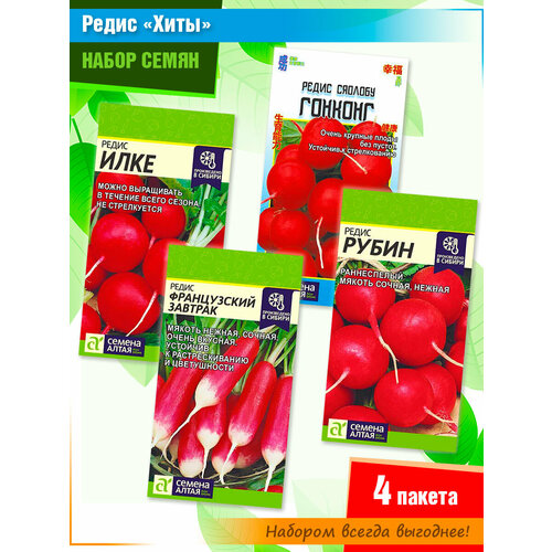 ���� ����� ����� ������ 