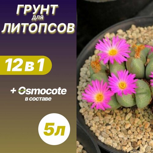 ���� ����� ��� �������� 5� / �������, ������ �� 640 ���