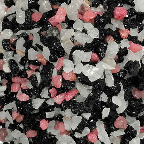 ���� ����������� ����� ��� ��������, ����������� � ��������, Zoo One, ��������� ��������, 